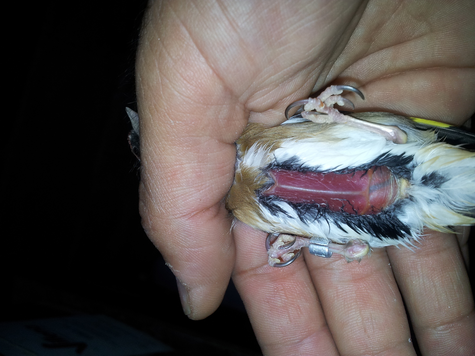 20140704_175328.jpg