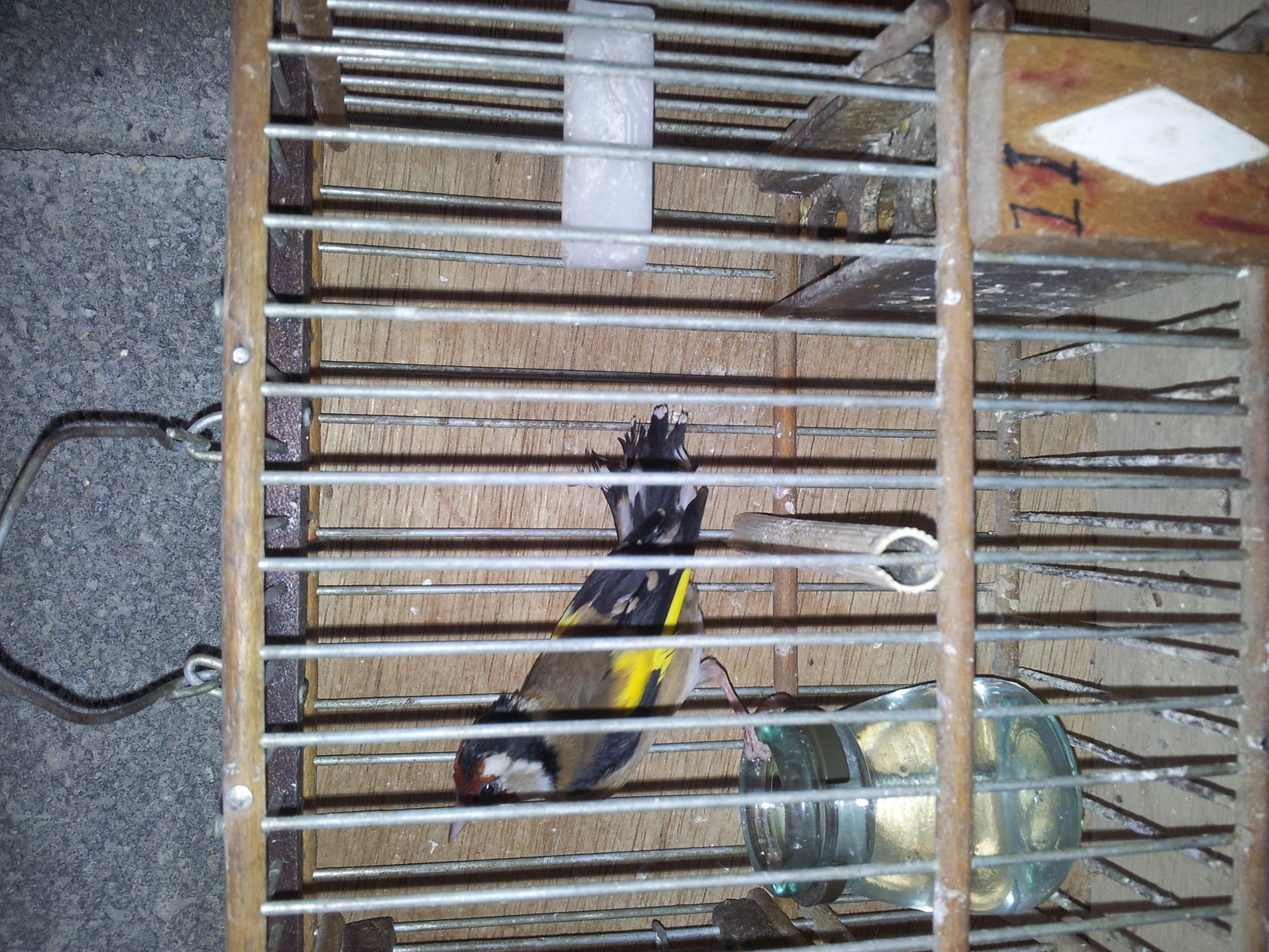 20140704_175134.jpg