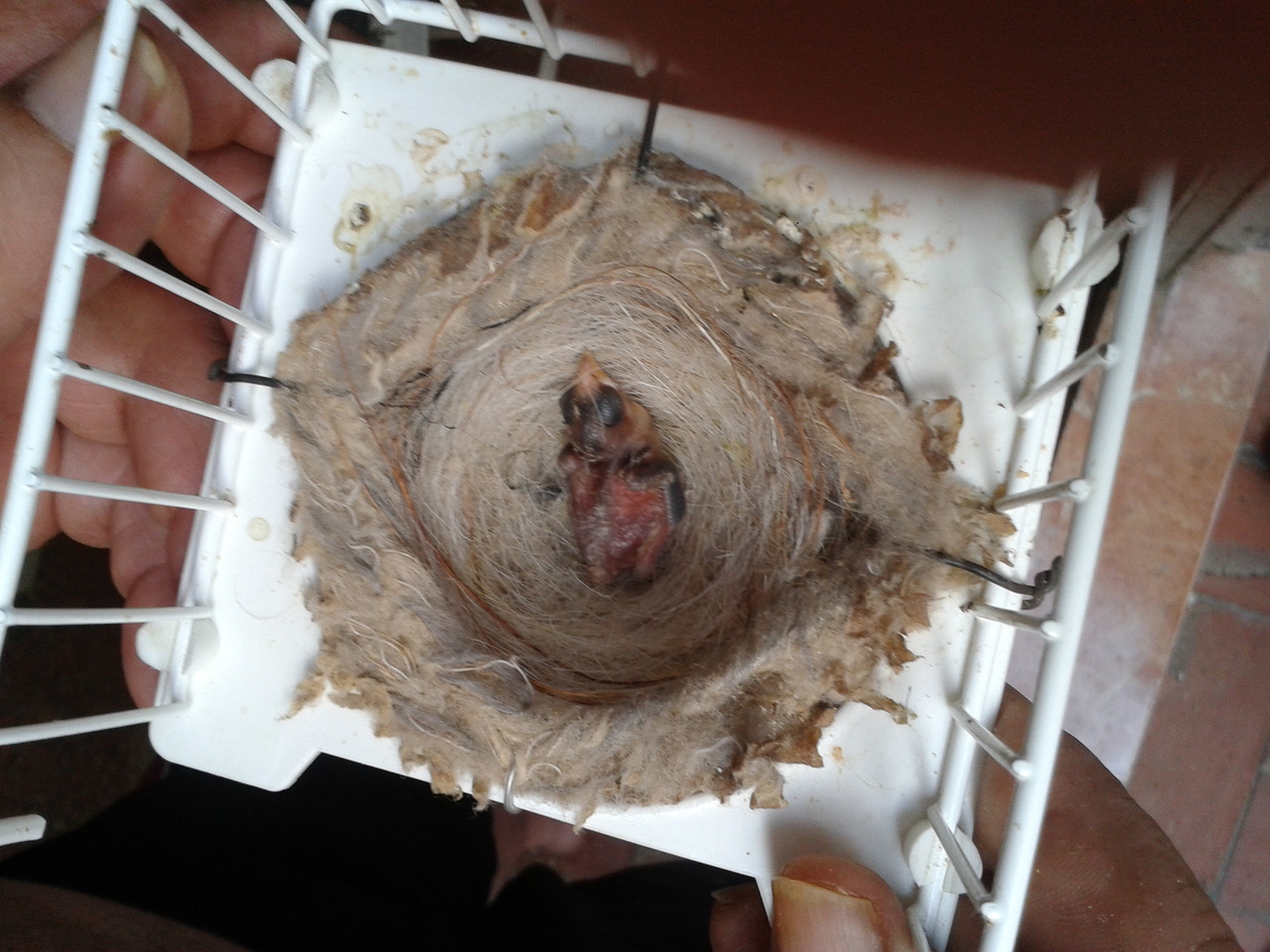 2014-07-06 11.21.22.jpg