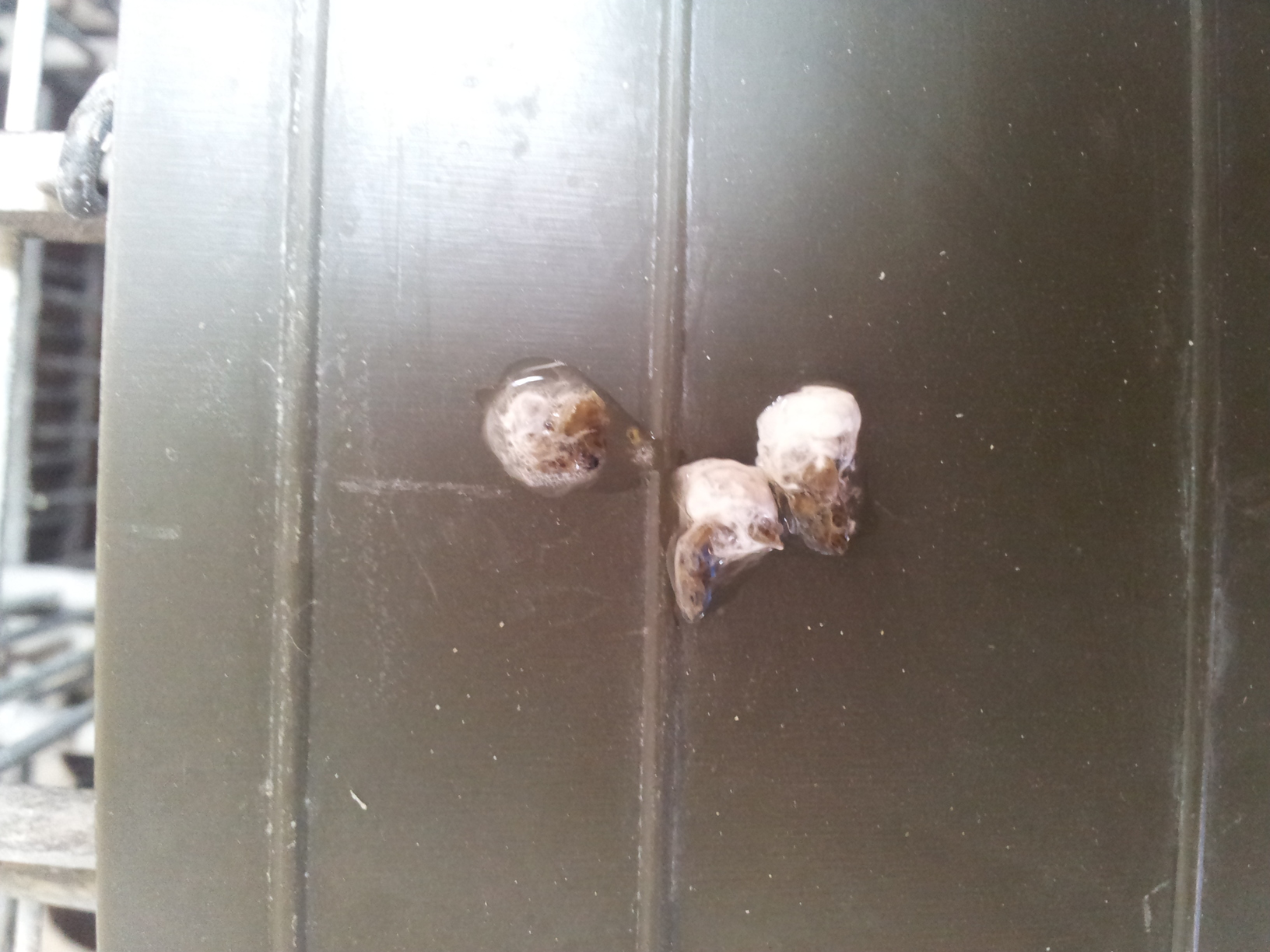 20140707_124551.jpg