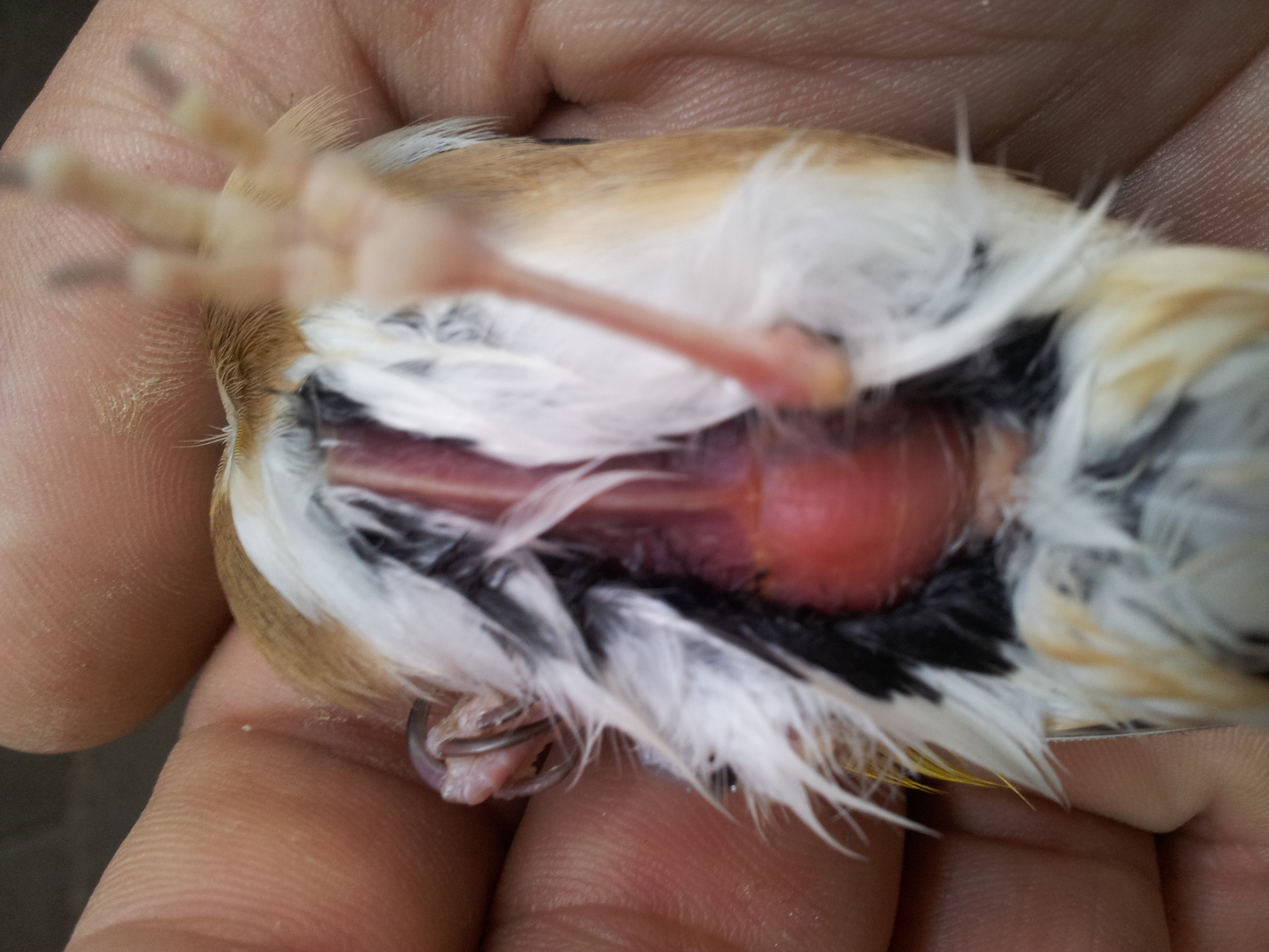 20140707_115610.jpg