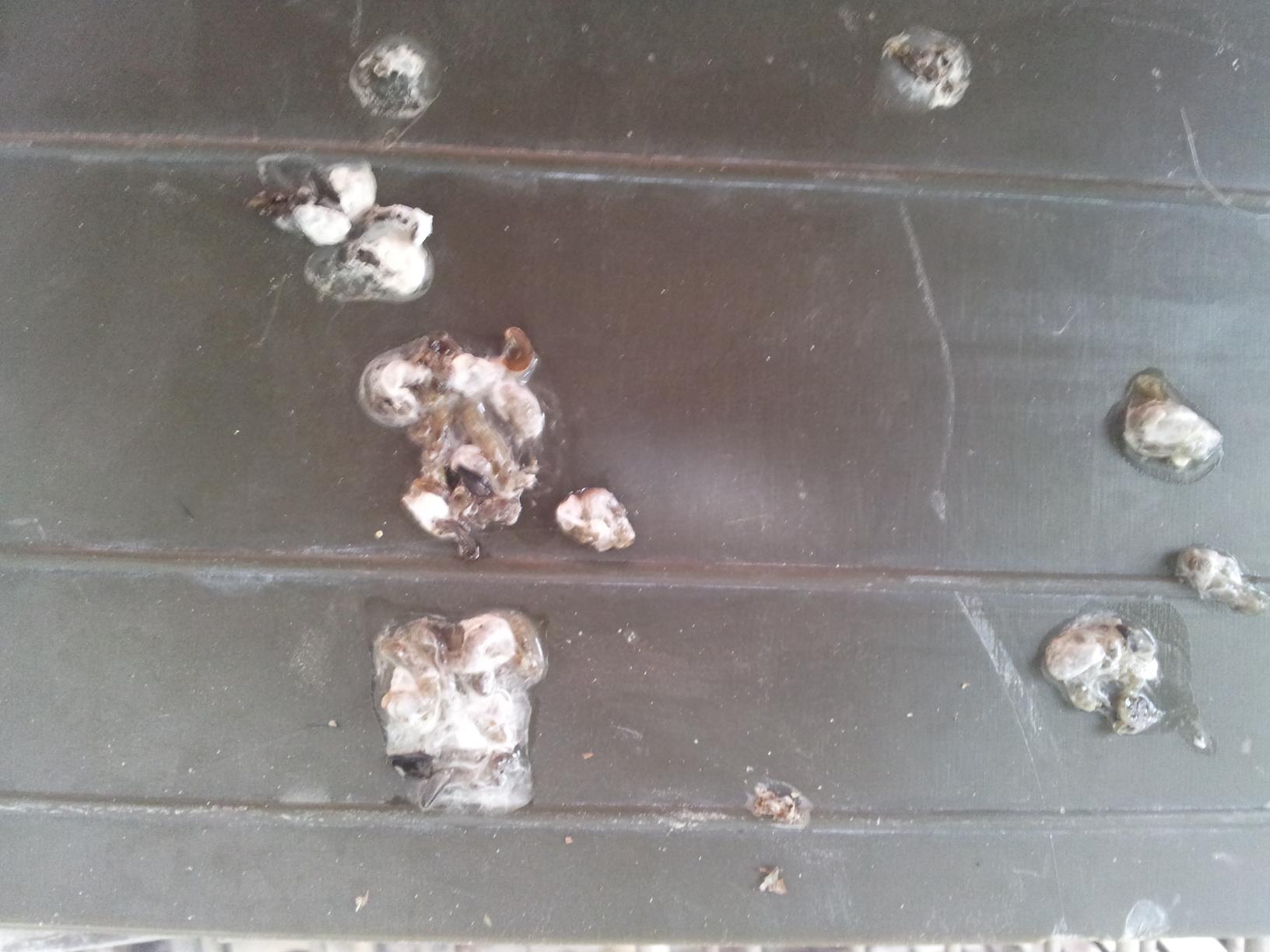 20140708_140135.jpg