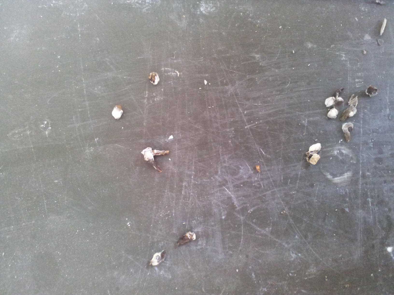 20140711_133207.jpg
