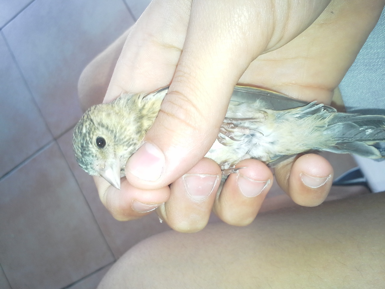 20140713_125203.jpg