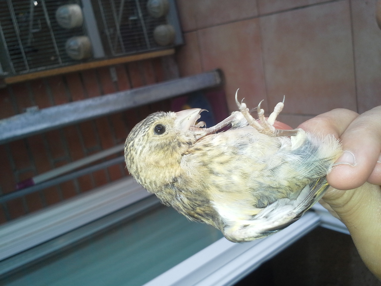 20140713_125142.jpg