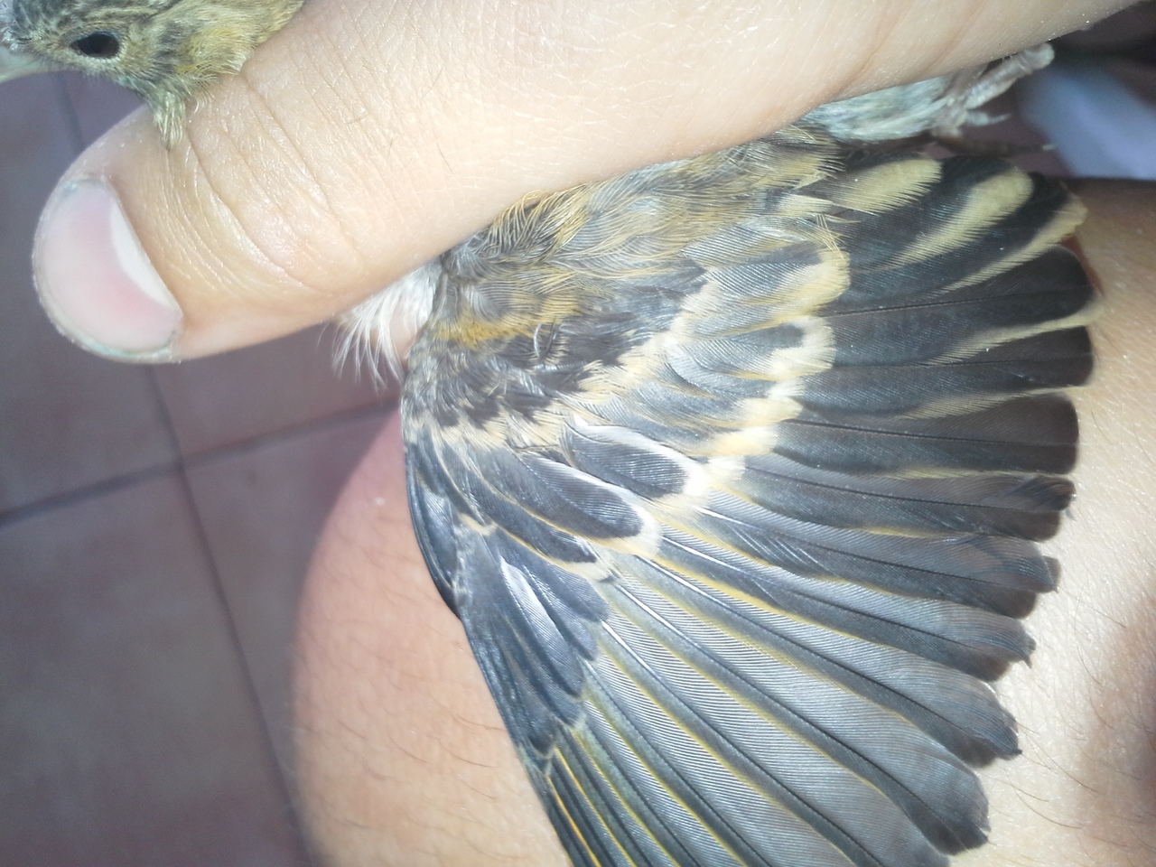 20140713_125115.jpg