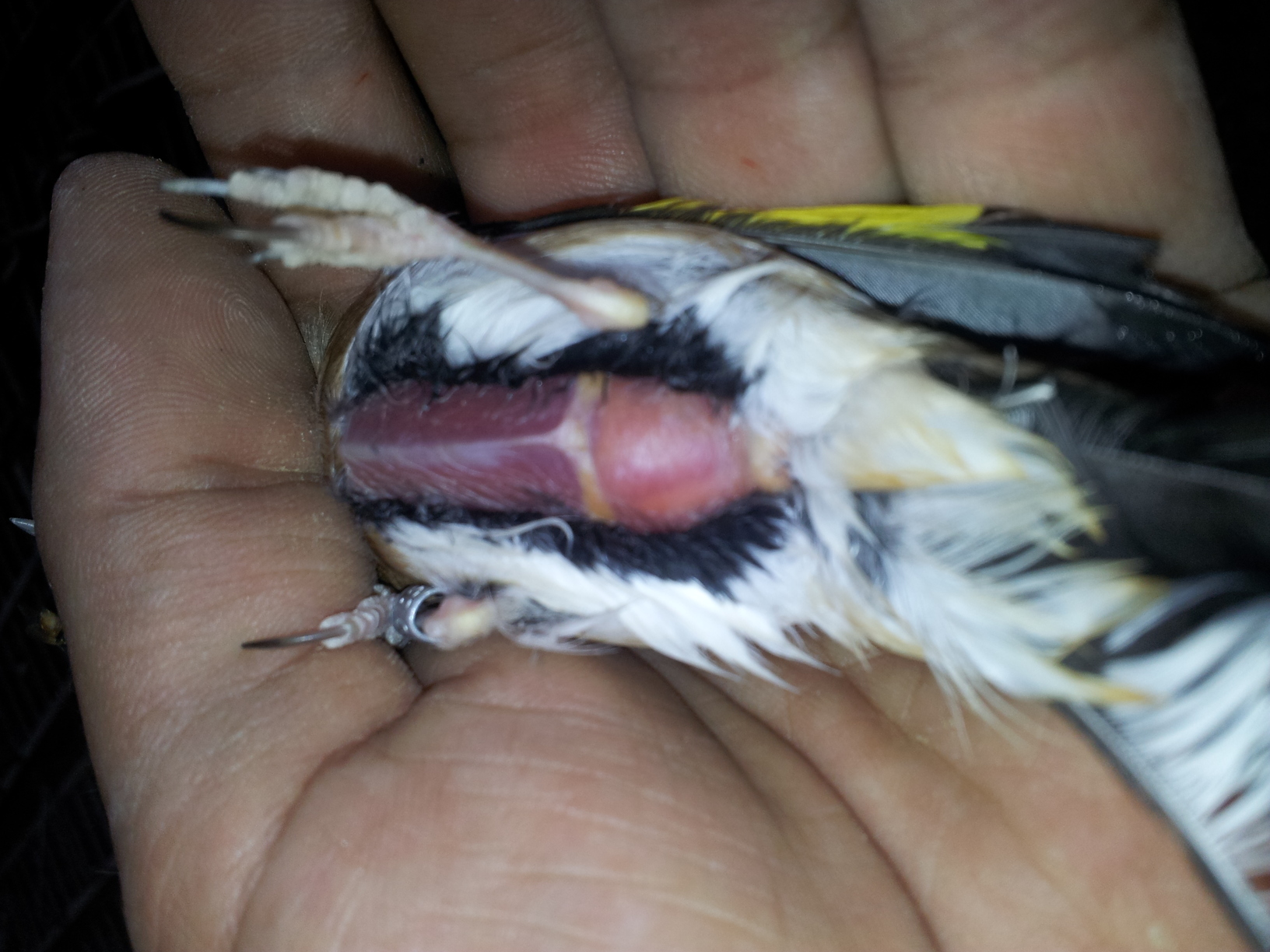 20140715_124943.jpg