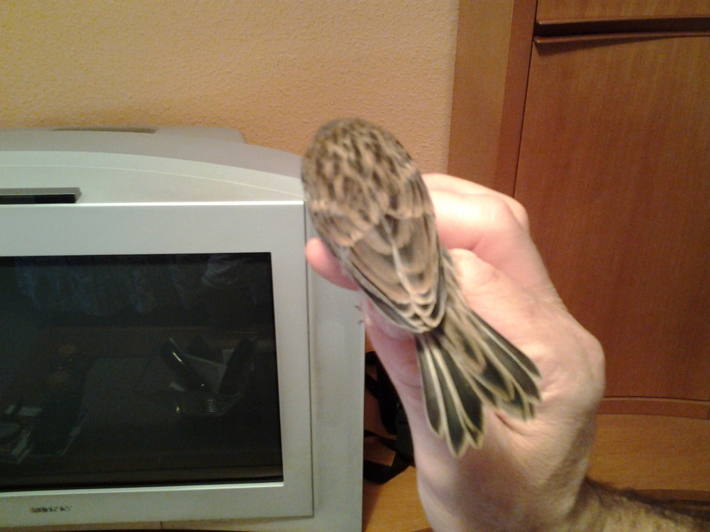 20140715_154848.jpg