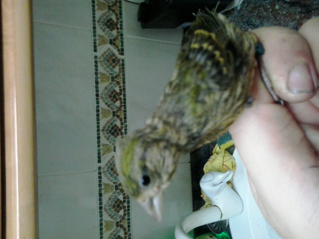 20140717_224400.jpg