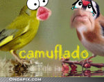 tmp_opz0x0ww28lhybkln3p4pwsajb9ros47qs_b.jpg
