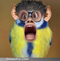 tmp_opz0p0exogtkzee1qkcpglargruki6k301_b.jpg