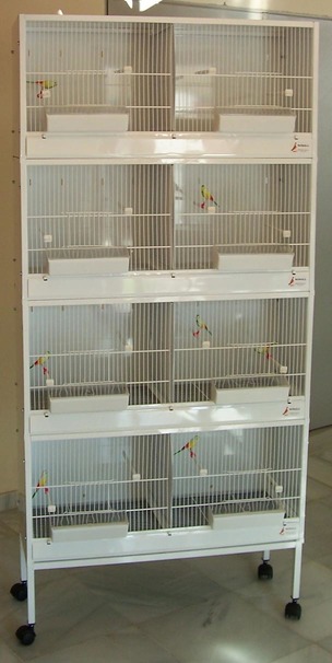 modulo%20n1[1].jpg