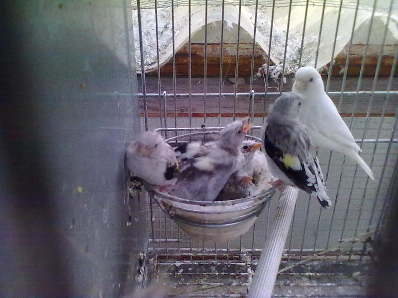 01052011478.jpg