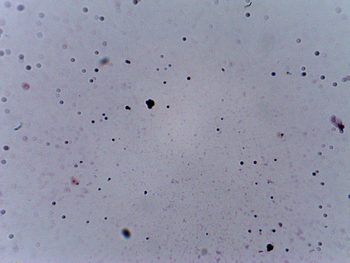 210720141149.bmp