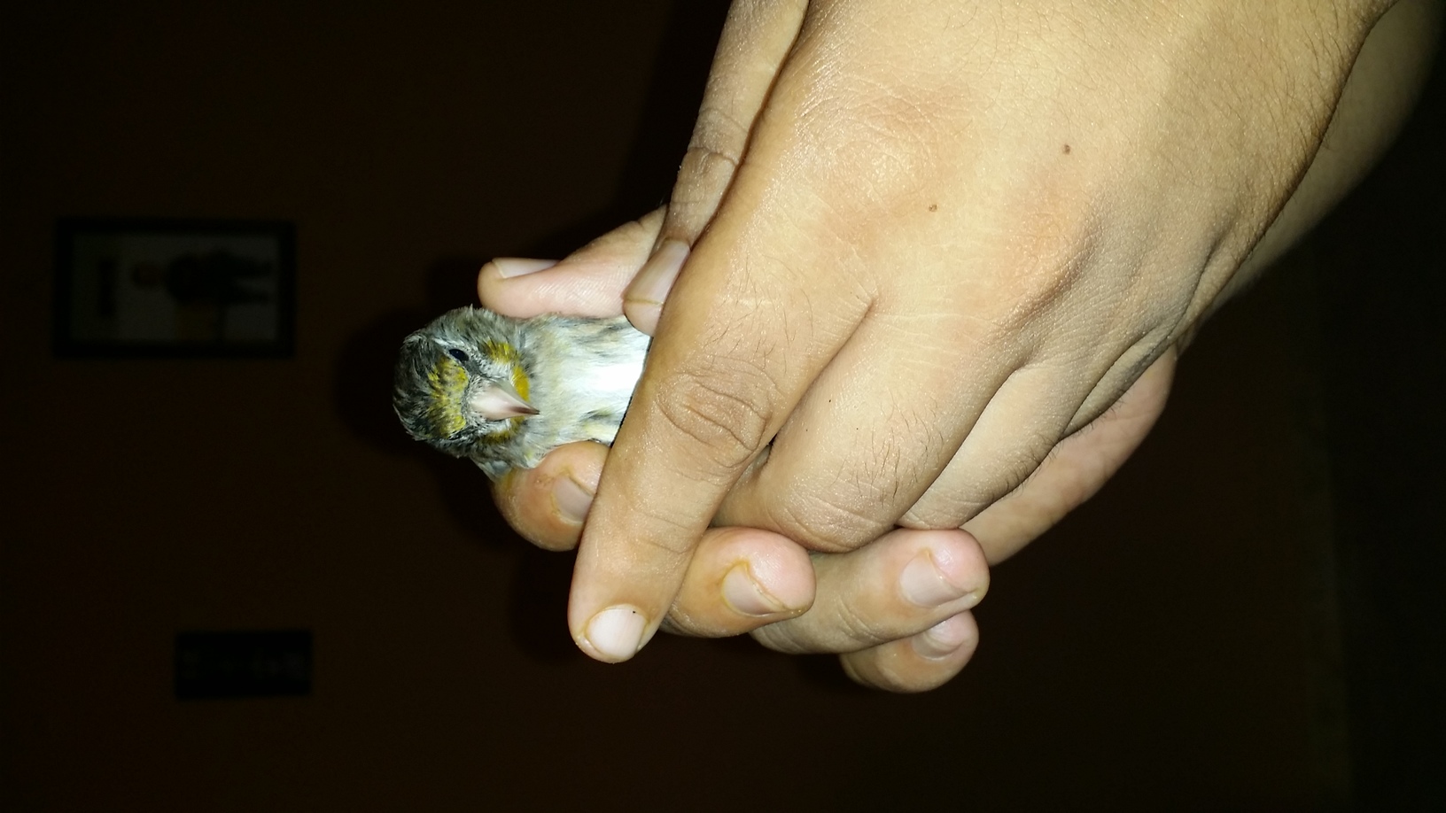 20140727_162054.jpg