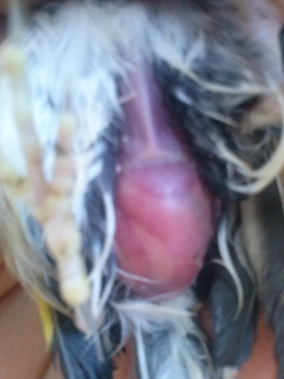 CAM01394.jpg