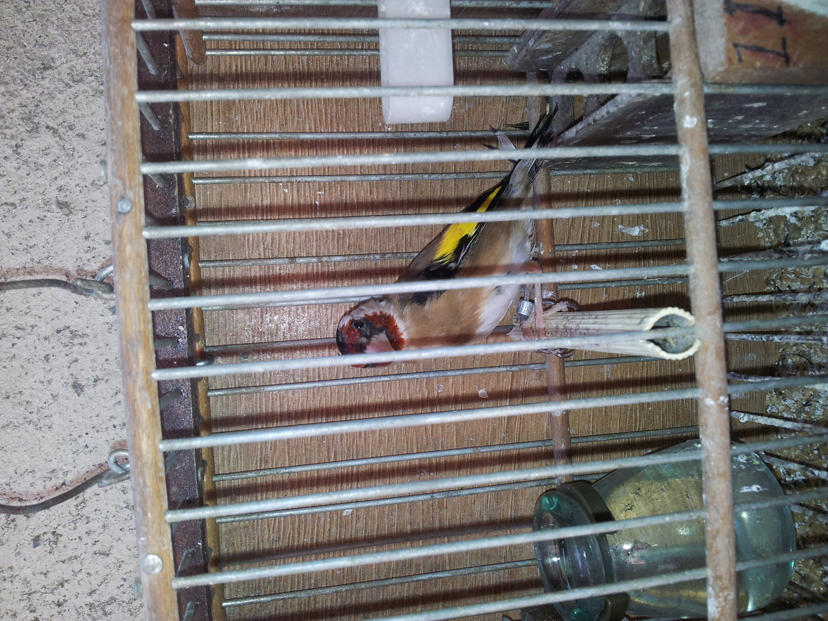 20140731_133204.jpg