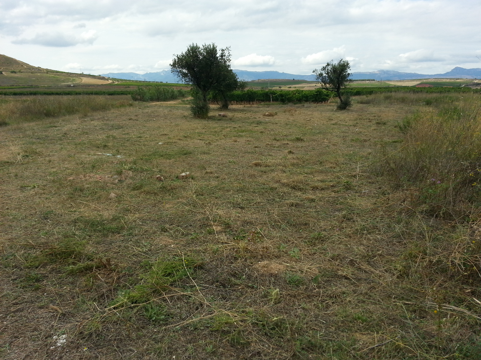 20140804_170948.jpg