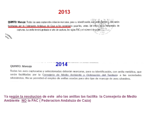 resumen absurdeces  resolucion 2014 2.jpg