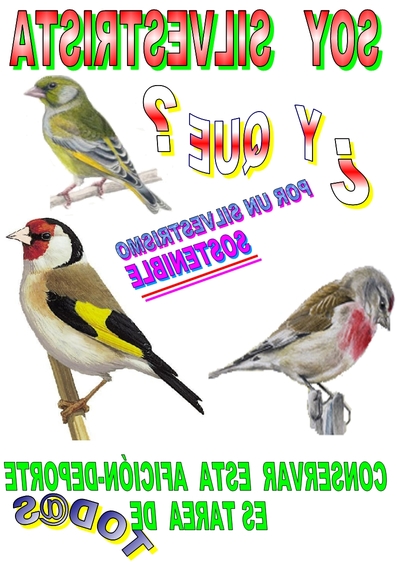 parte trasera reflejada buena para imprimir.jpg