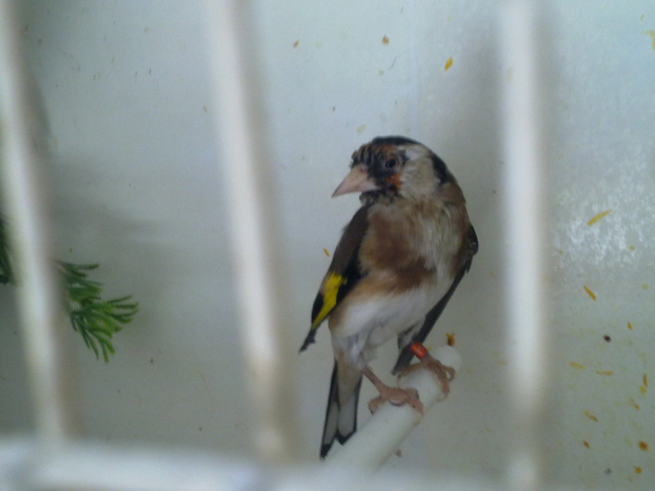 26042011014.jpg