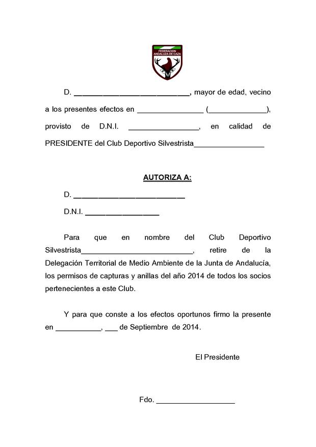 documento de cada silvestrista.jpg