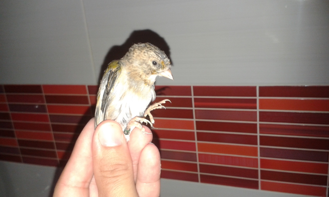 20140818_220138.jpg
