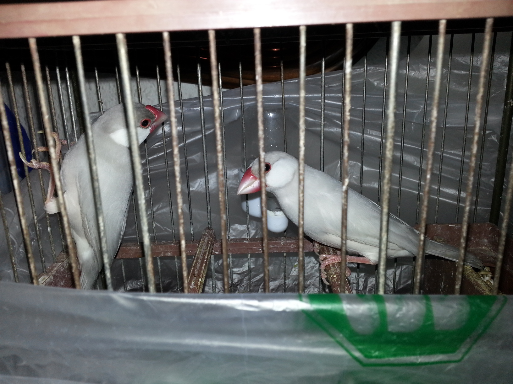 20140901_182059.jpg