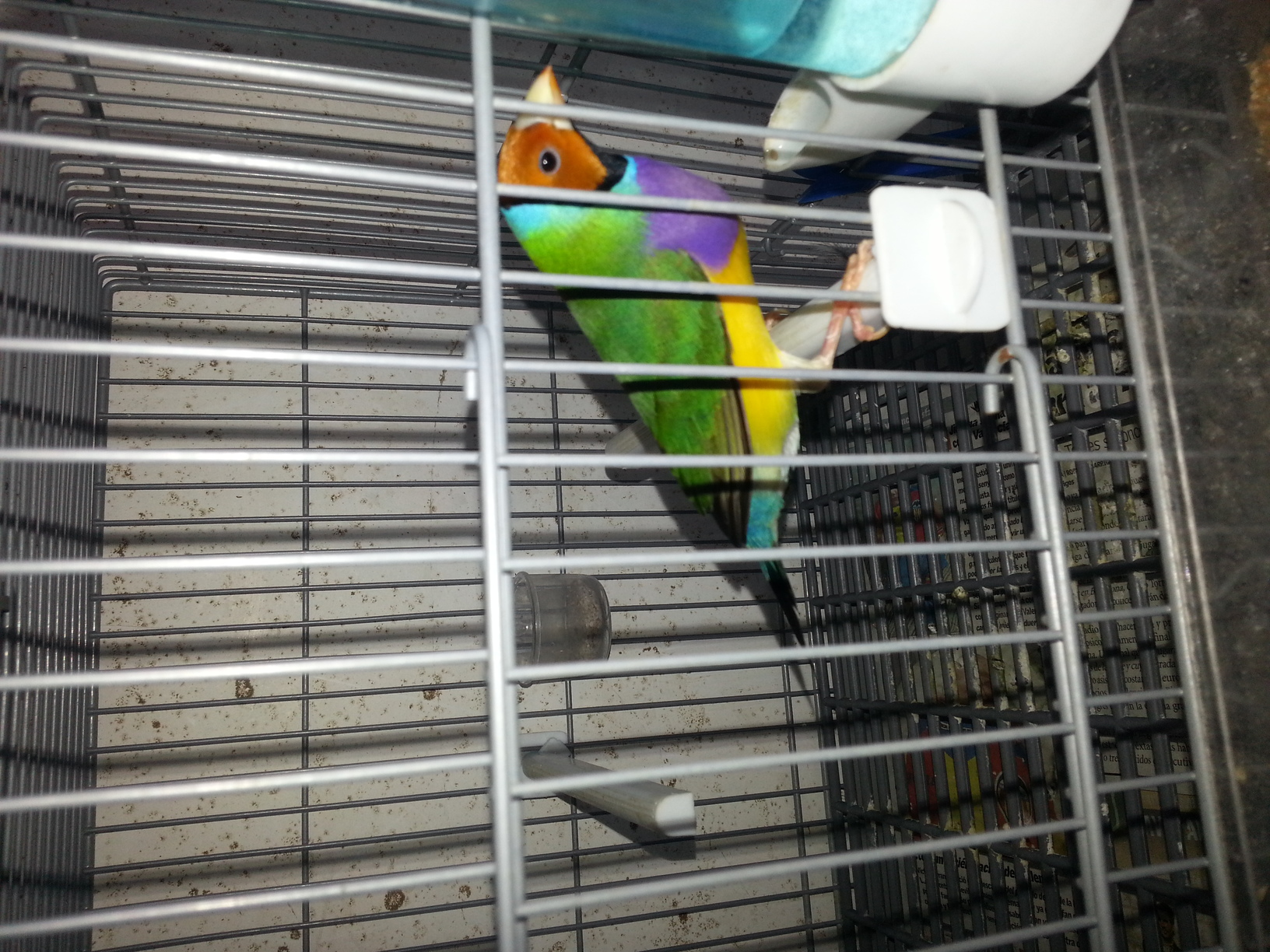 20140902_192321.jpg