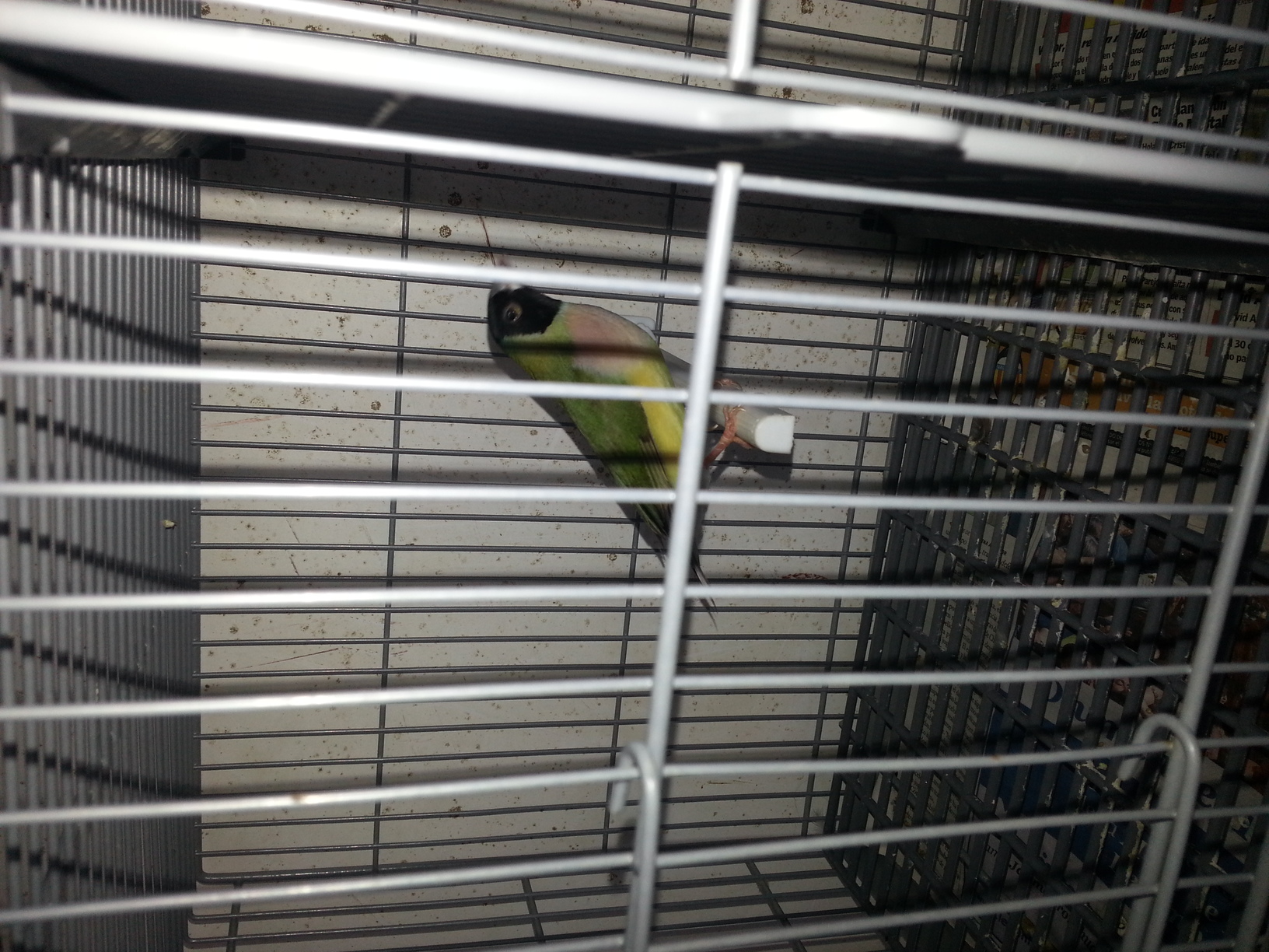 20140902_192333.jpg