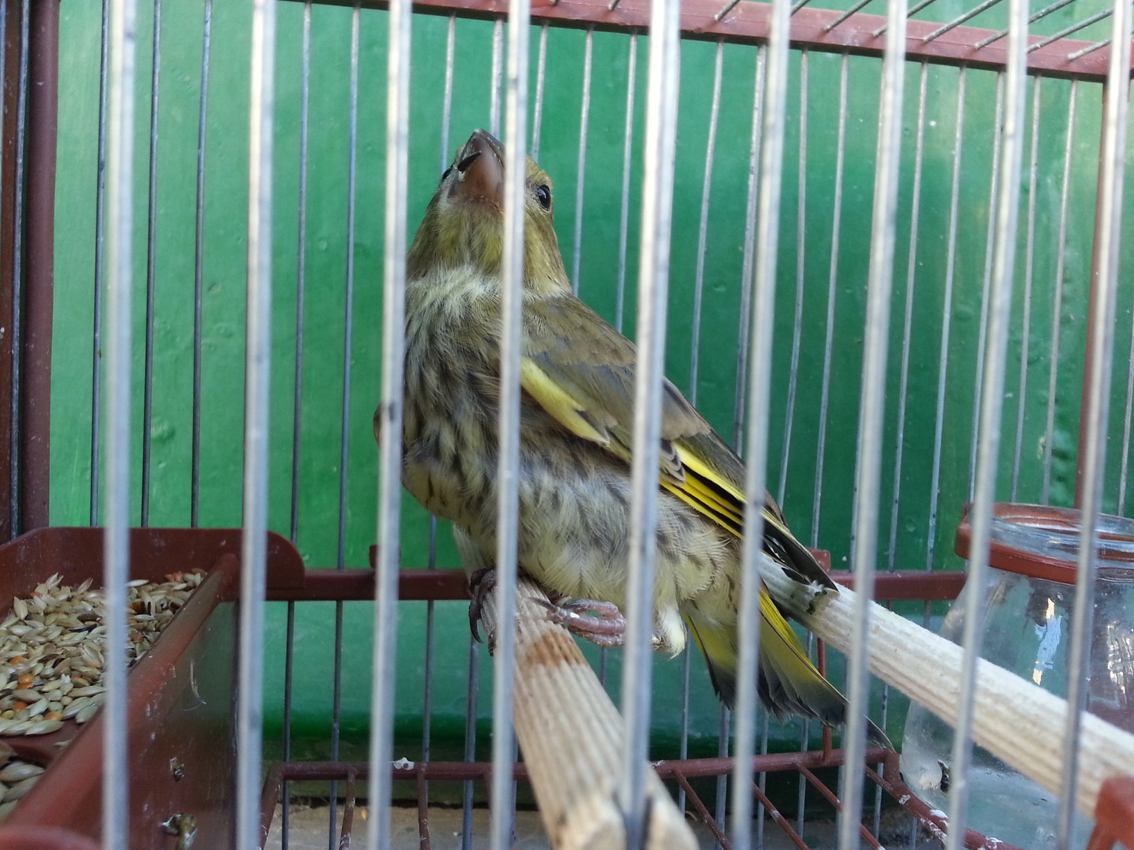 20140902_180929.jpg