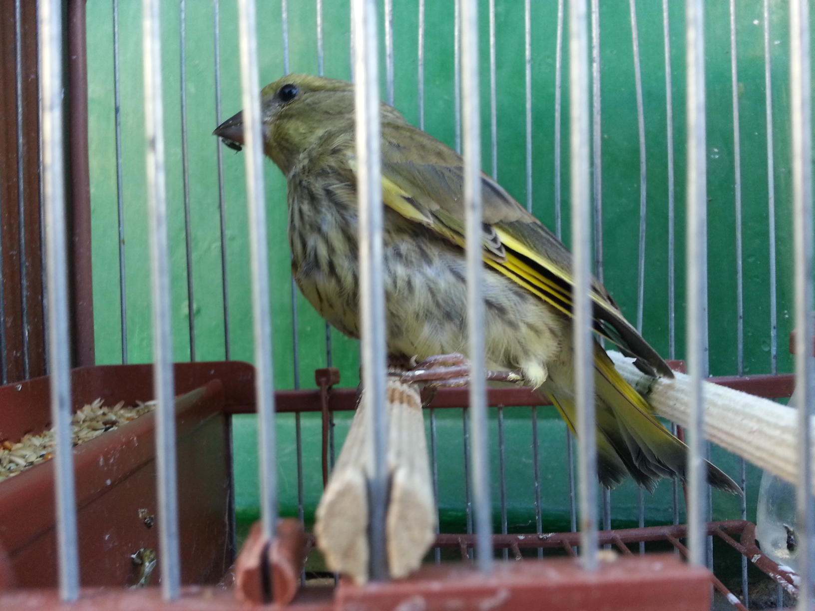 20140902_180936.jpg