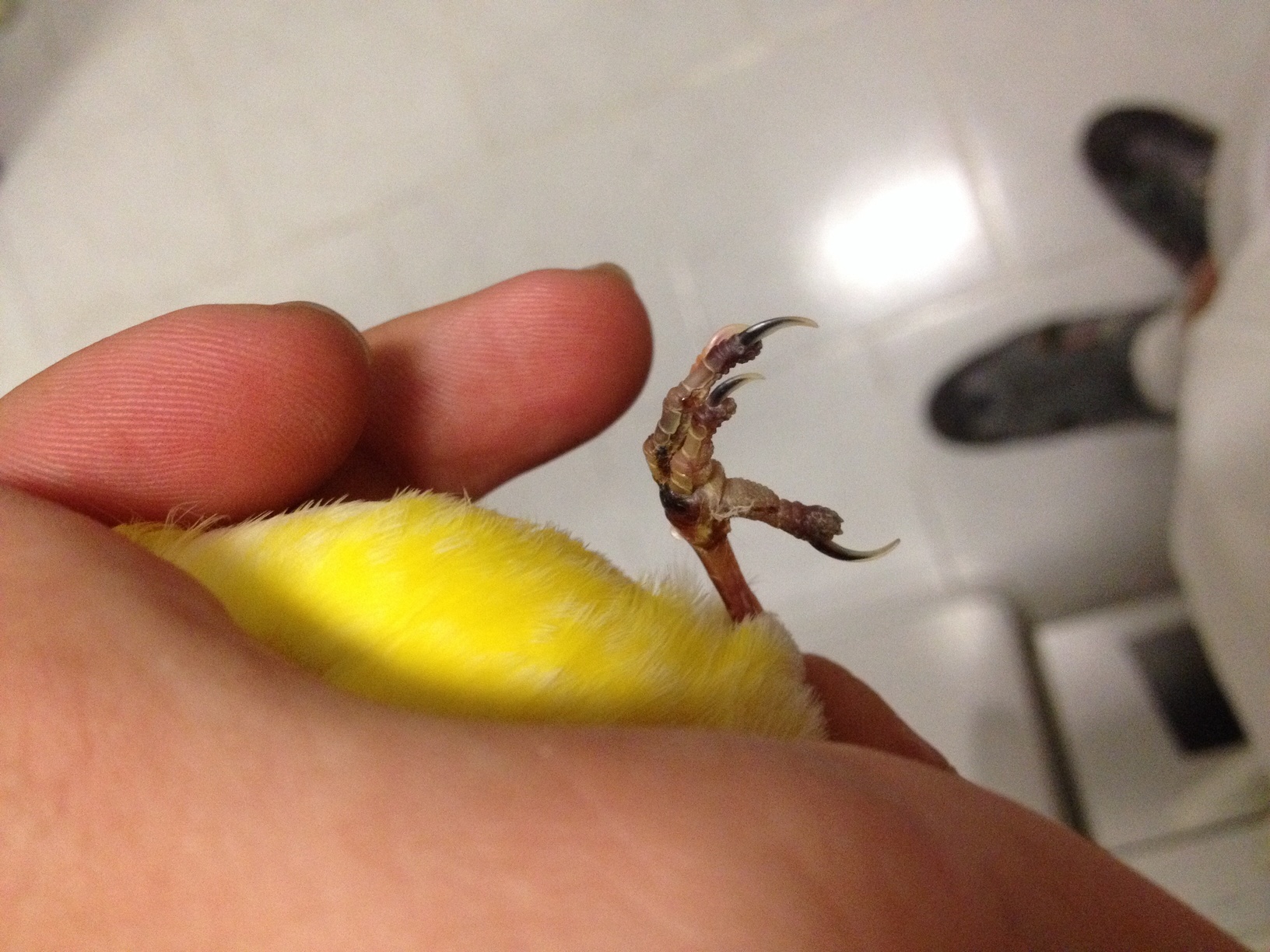 image.jpg