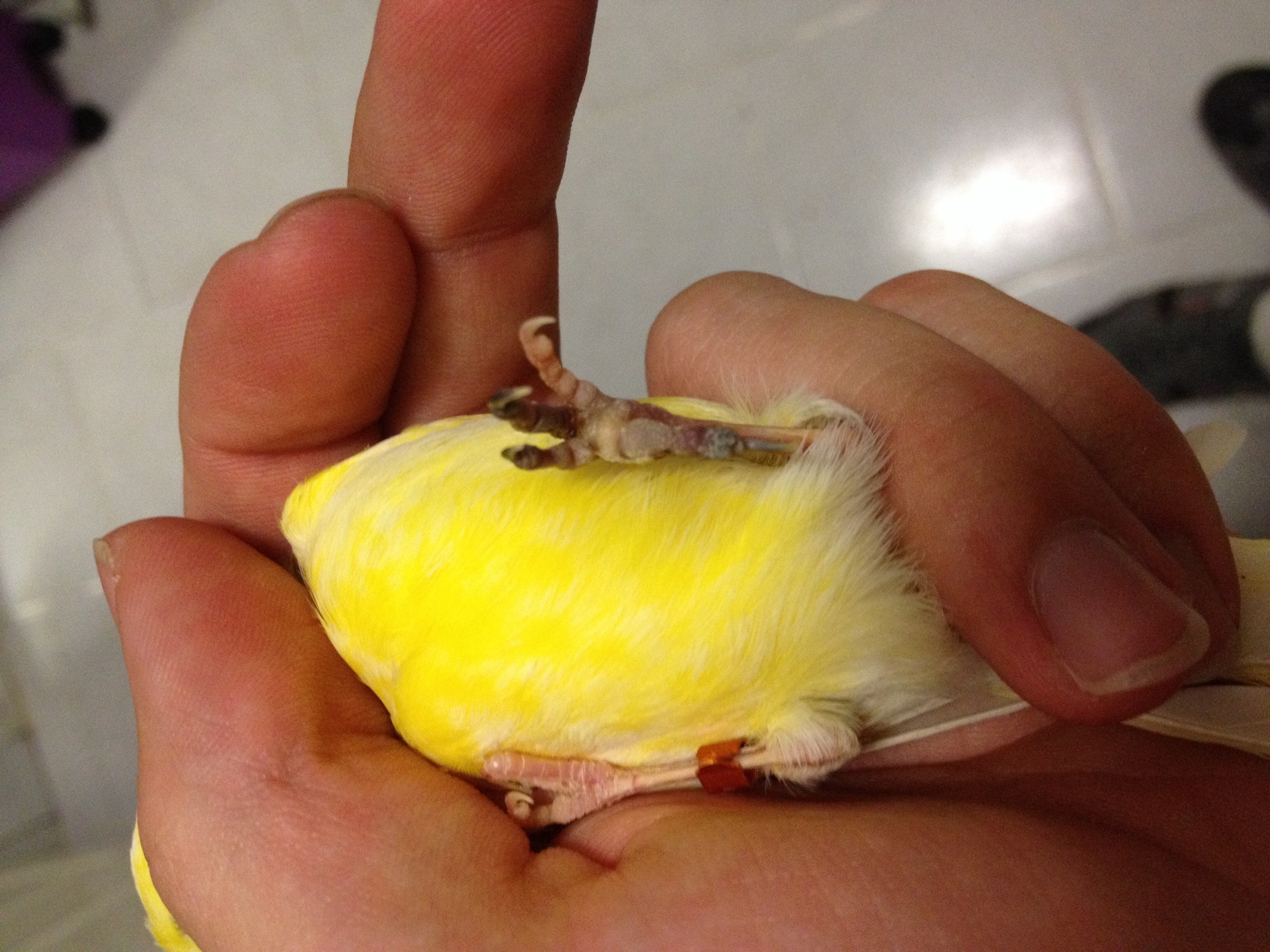 image.jpg