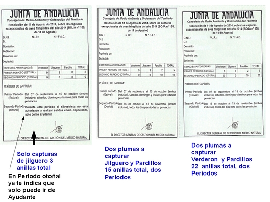 distintas Autoriaciones segun plumas a capturar.jpg