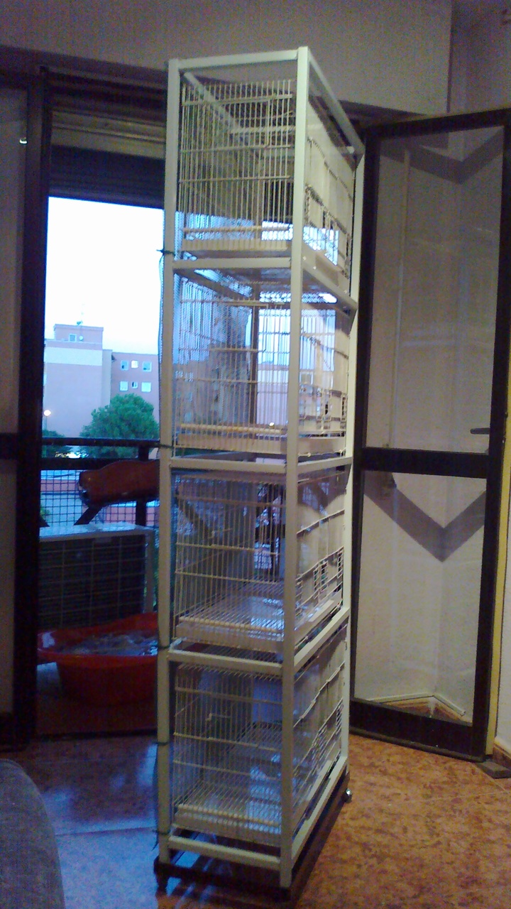modulos y jaulas 046.jpg