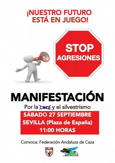 cartel oficial de la manifestacion.JPG
