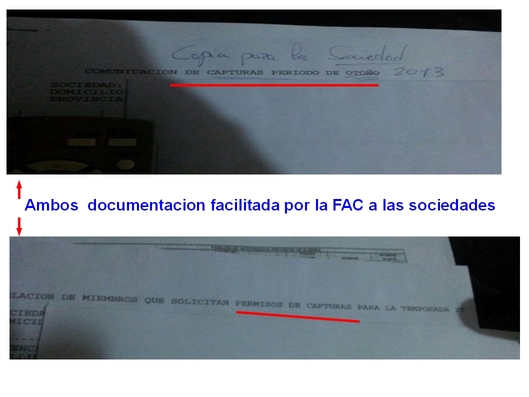 documentacion de la FAC a las sociedades, Capturas.jpg