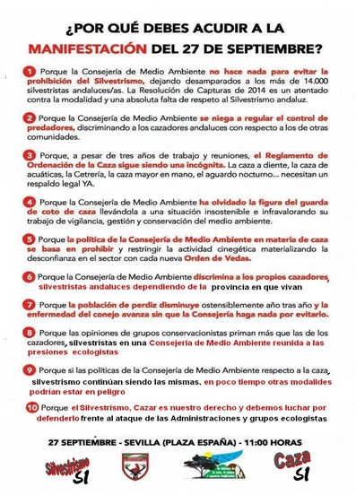cartel manidestacion modificado.jpg