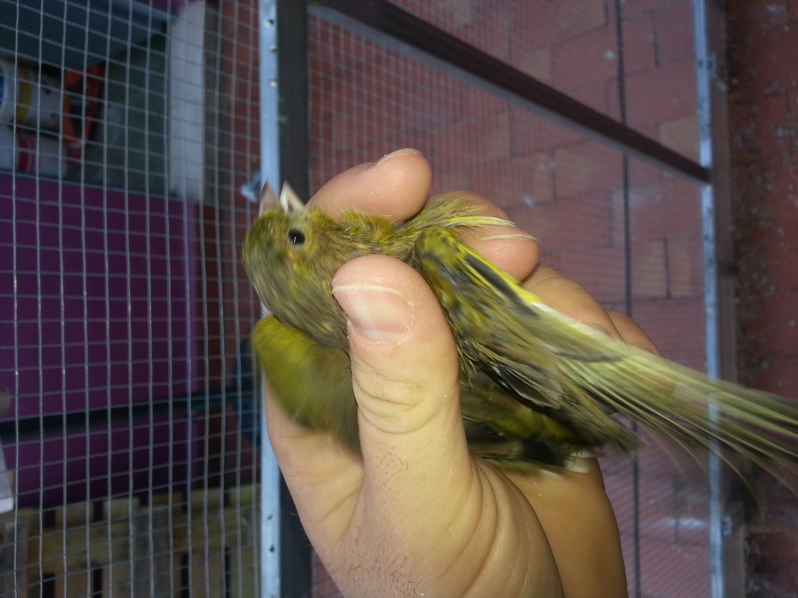 20140904_182501.jpg