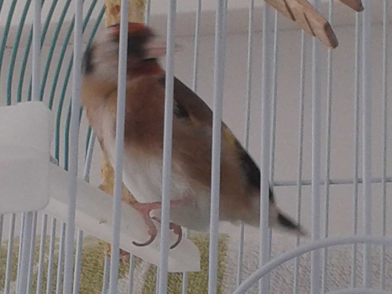 20140909_174008.jpg