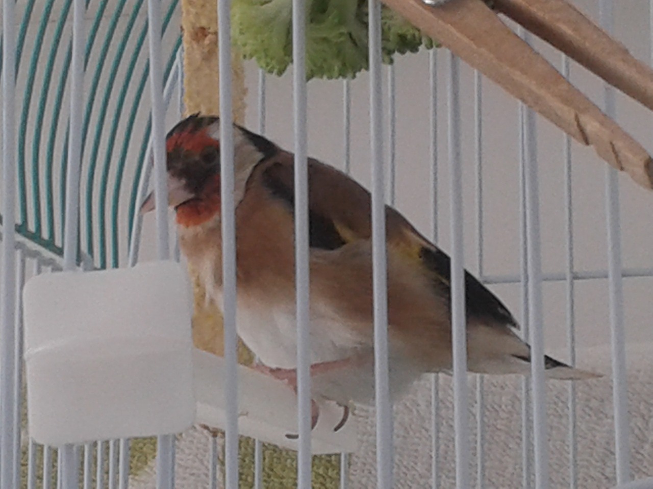 20140909_173822.jpg