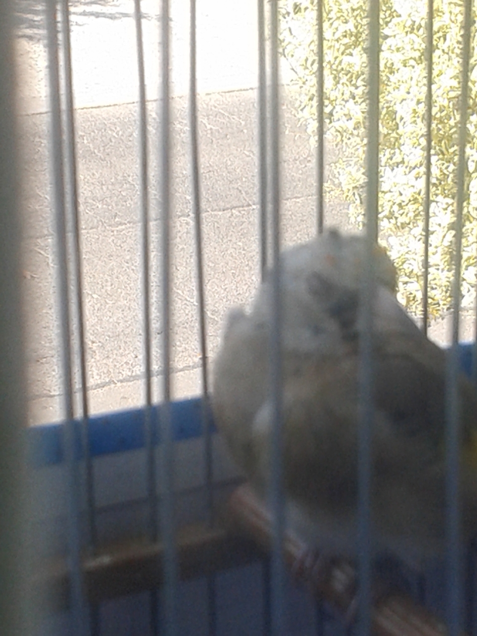 20140910_154730.jpg
