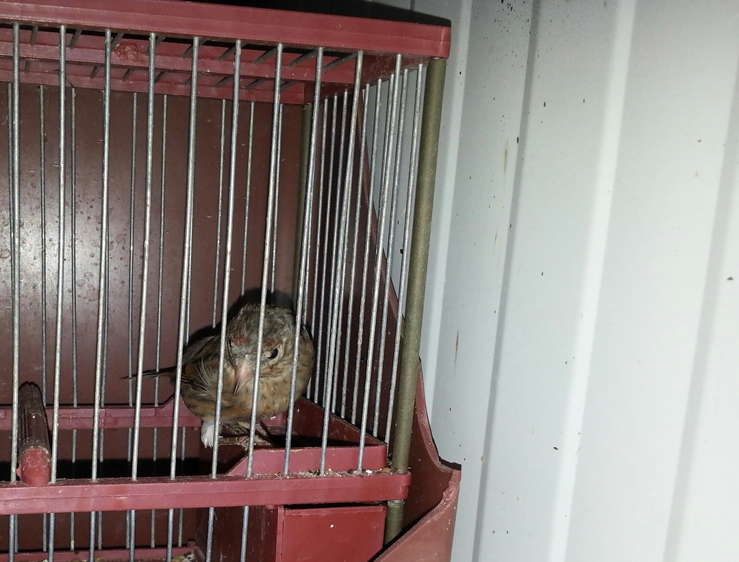 20140918_191803-1.jpg