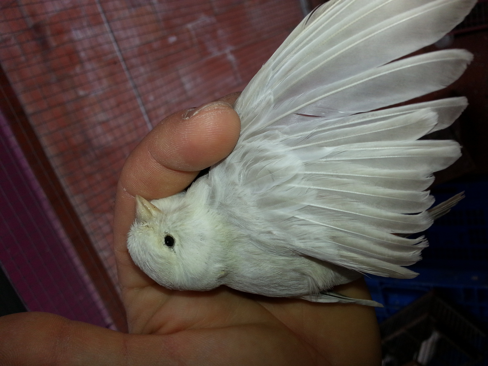 20140920_103423.jpg