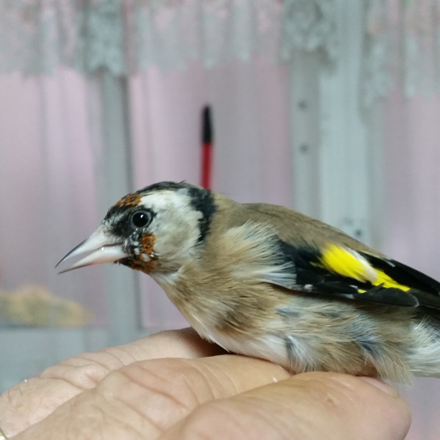 20140922_155437.jpg