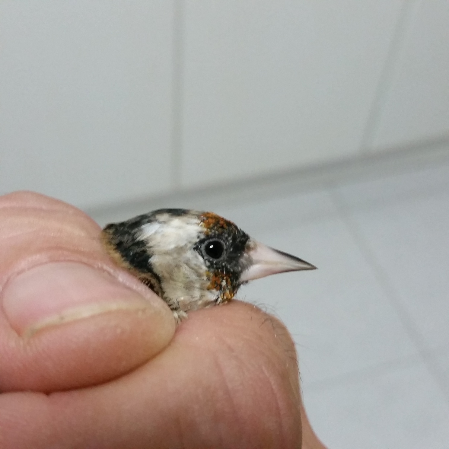20140922_155316.jpg