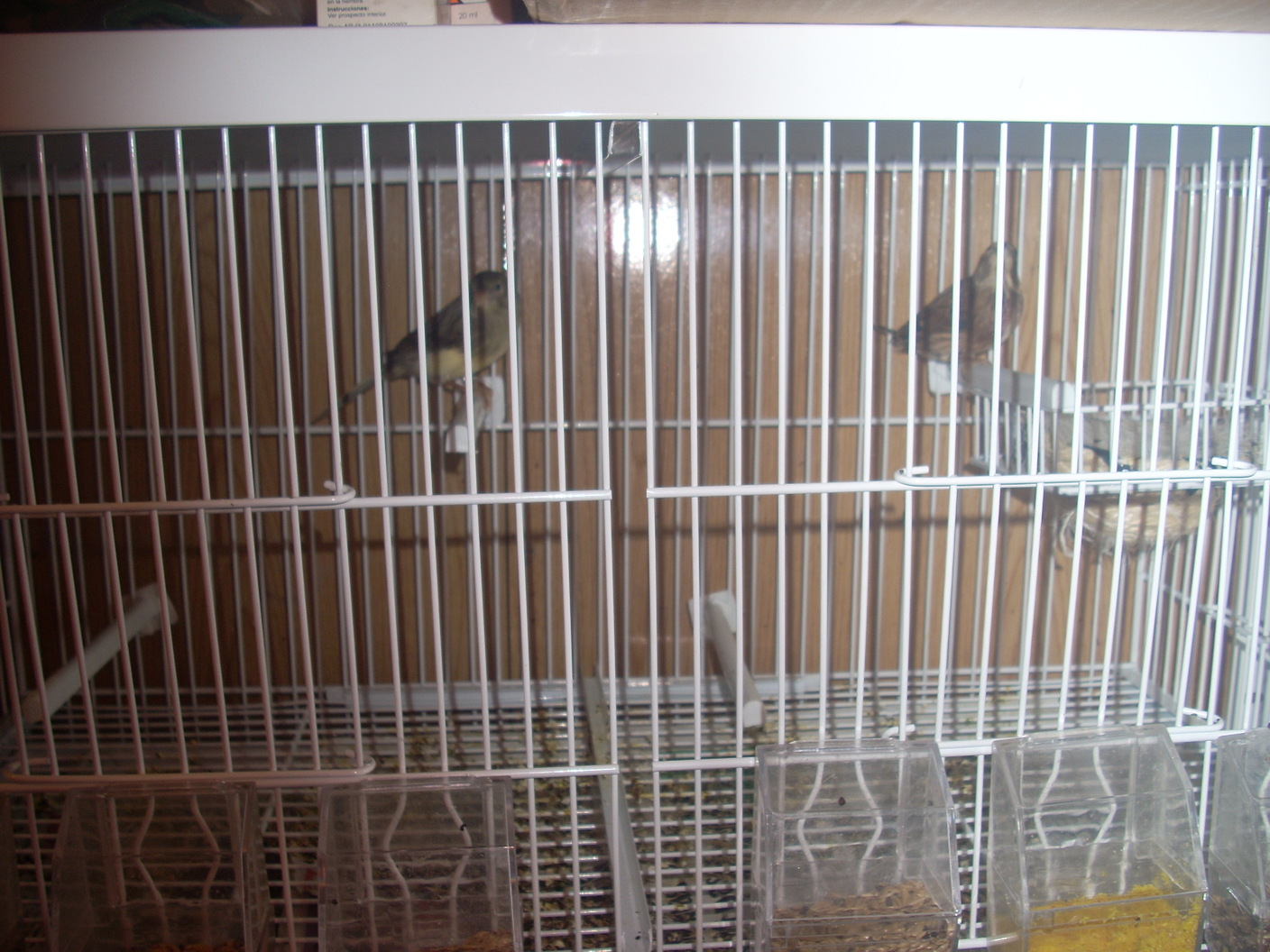 DSCN0976.JPG