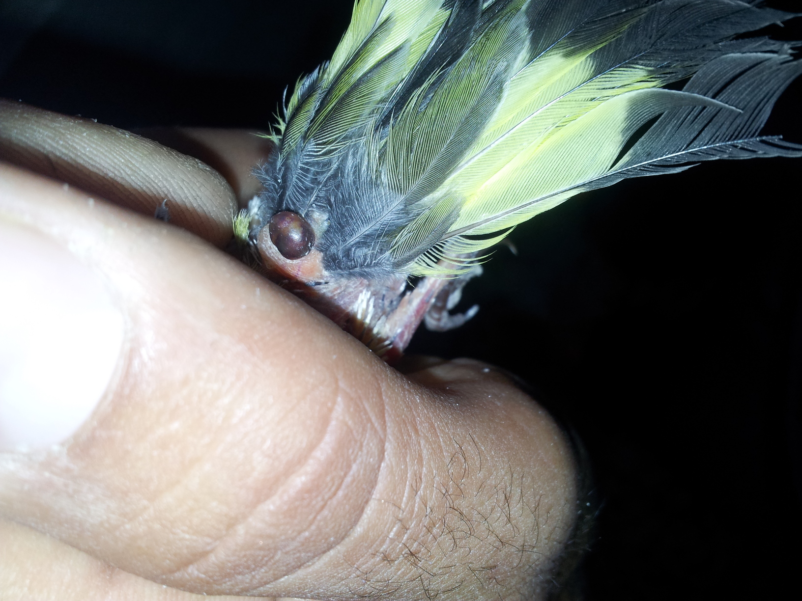 20140924_104614.jpg