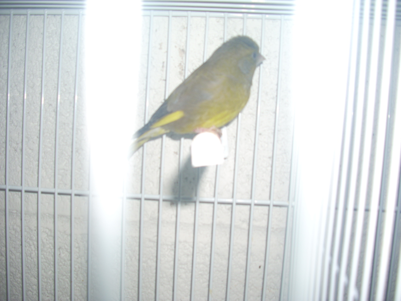 DSCN0851.JPG